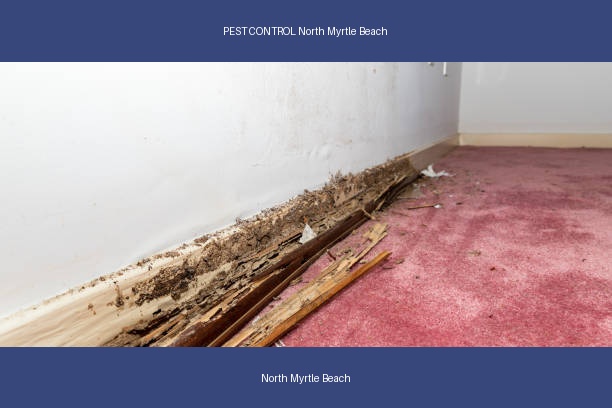 PEST CONTROL North Myrtle Beach